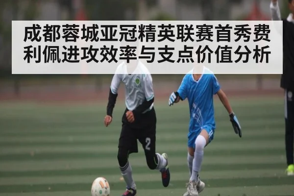 成都蓉城亚冠精英联赛首秀费利佩进攻效率与支点价值分析 - www.c7c7.app
